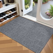 FRABE Ultra Thin Door Mat for Entryway, Low Profile Non Slip Rubber Backing Indoor Doormat, Easy Clean Welcome Entrance Mat for Inside House, Patio, Dark Grey 32"x48"