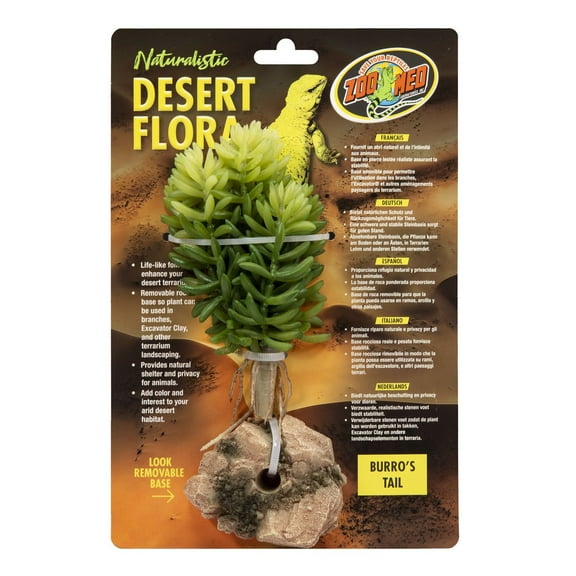 Zoo Med Burros Tail Desert Flora Terrarium Plant - 1 count