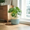 thumbnail image 7 of Ordivic 10 Inch Blue Ceramic Planter with Drainage Hole – Large Round Flower Pot for Monstera, Fiddle Leaf Fig, Outdoor Gift, 7 of 7