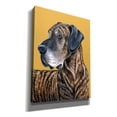 thumbnail image 2 of Epic Graffiti 'Brindle Great Dane'  by Rebecca Wang Art Canvas Wall Art, 12" x 16", 2 of 8