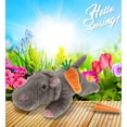 thumbnail image 5 of DolliBu Happy Easter Super Soft Plush Hippo with Carrot - Cute Stuffed Animals with Carrot Plush Toy, Perfect Easter Gift with Name Personalization, Spring Easter Plush Animal - 11 Inches, 5 of 6
