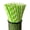 Green, variant on Jkung 100Pcs Biodegradable Paper Straws Colorful Striped Print Food-Grade Safe Drinking Straws Party Supplies