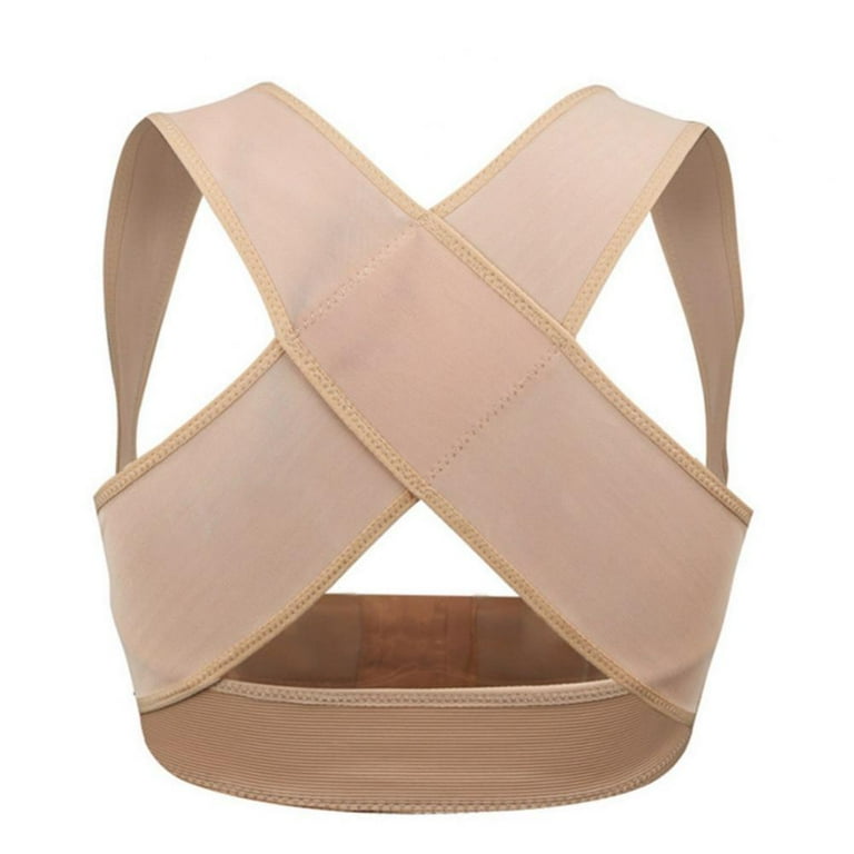 Pet breastback triangle strap Pet breastback triangle strap
