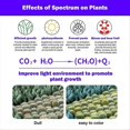 thumbnail image 1 of Full Spectrum Plants Grow Light Auto On/Off LED Lamp 2 skewers, 1 of 5