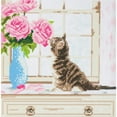 thumbnail image 1 of CA Kit (Medium) - Cat, 1 of 1