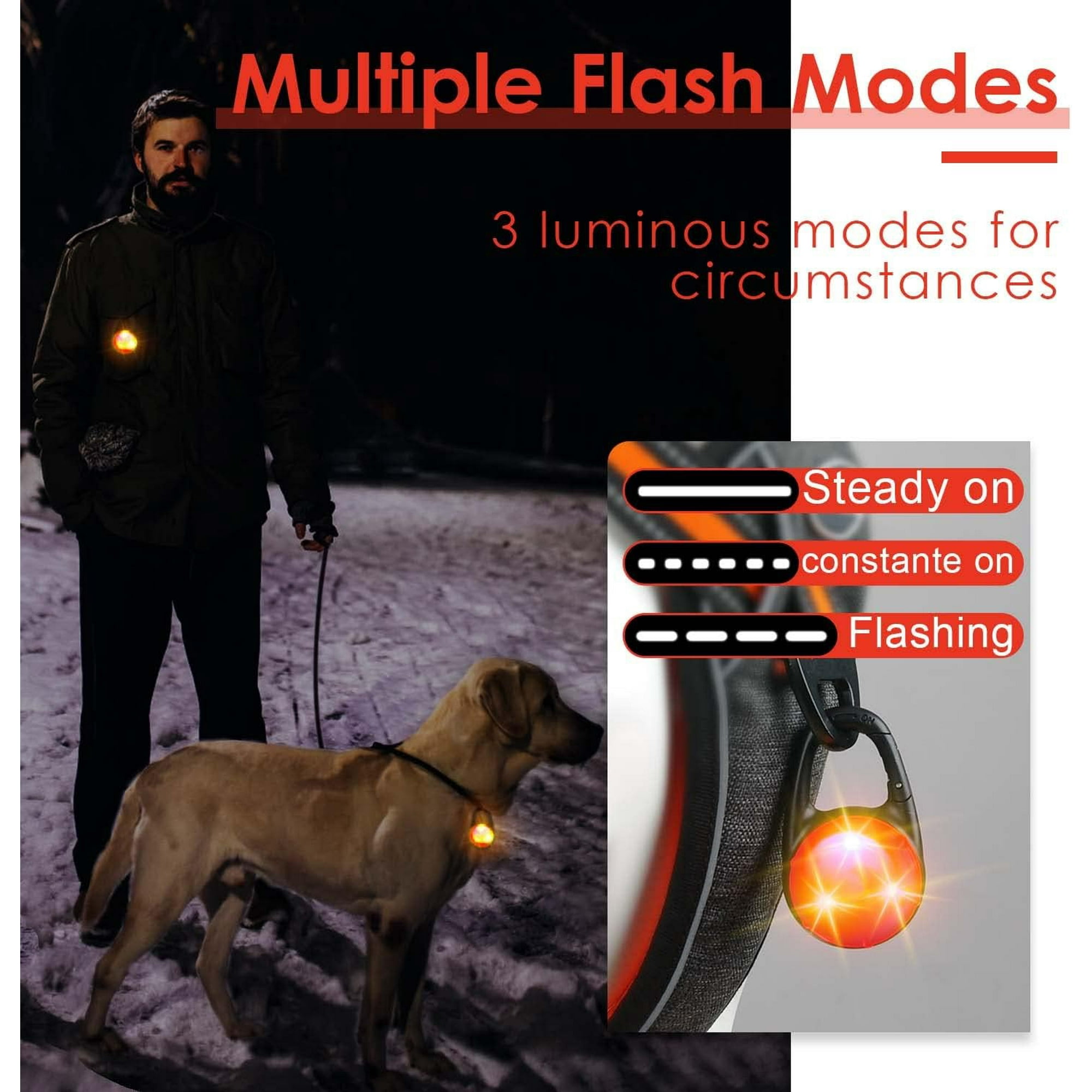 Led lights for dog walking sale