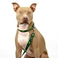 thumbnail image 2 of Country Brook Petz® Clovers In The Wind Martingale Dog Collar and Leash, Large, 2 of 7