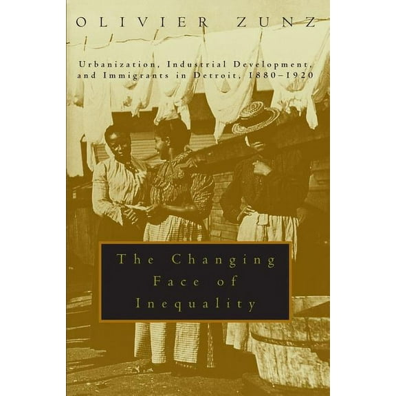 The Changing Face of Inequality : Urbanization, Industrial Development, and Immigrants in Detroit, 1880-1920 (Paperback)