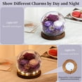 thumbnail image 3 of Eternal Rose Gifts for Mom, Preserved Real Rose in Glass Dome with LED Light,Gifts for Women Wife Her on Birthday Anniversary Mothers Day,Purple, 3 of 8