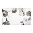 thumbnail image 2 of MKHERT Different Animals Doormat Non-slip Bath Mat Floor Mat 30x18 inch, 2 of 3