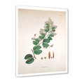 thumbnail image 2 of Designart 'Ancient Botanicals XIII' Farmhouse Framed Art Print, 2 of 4