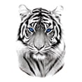 thumbnail image 2 of WREESH Men and Women Arm Tattoo Temporary Tattoos Sticker Fake Tatoo Hot 3D Waterproof, 2 of 2