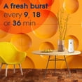 thumbnail image 3 of Air Freshener Glade Automatic Spray Refill Coastal Sunshine, 3 of 9