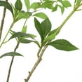 thumbnail image 6 of Noble House Hartshorn 5' x 2' Artificial Pieris Tree, Green, 6 of 7