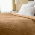Sunbeam Electric Heated Velvet Plush Blanket, Twin Acorn