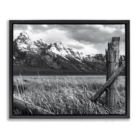 Stupell Industries Farmhouse Grassland Fence Photography Black Floating Frame Canvas Art, 21 x 17, by Steve Toole