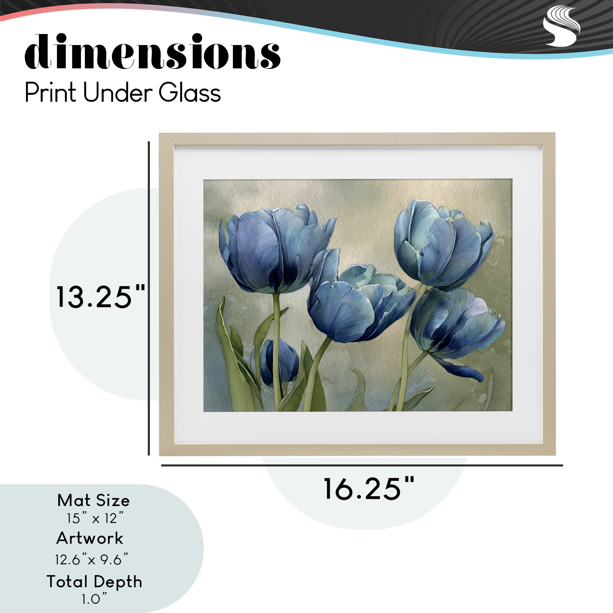 Stupell Industries Drawn Blue Tulip Flowers Birch Framed Print Under Glass, design by Franklyn Gregory