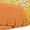 Orange, variant on Barefoot Women's Men's Earthing Shoes, Earthing Allround Barefoot Shoes, Lightweight Breathable Non-Slip Earthing Shoes