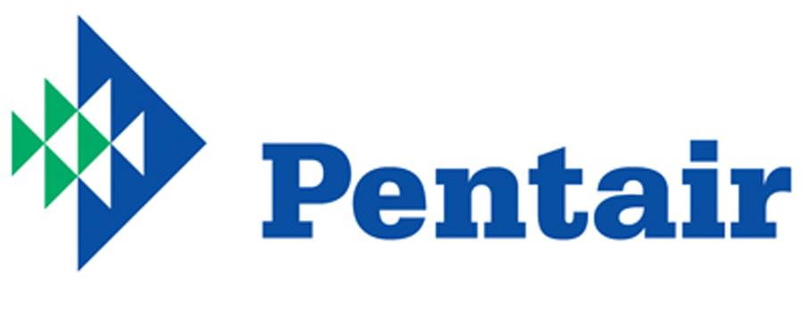 Pentair R172288 Corrosion Resistant Check Valve Replacement Pool and Spa Automatic Feeder