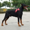 thumbnail image 2 of EIMELI Dog No Pull Adjustable Vest Harness  Pet Nylon for Small Medium Large/XL Dog, 2 of 4