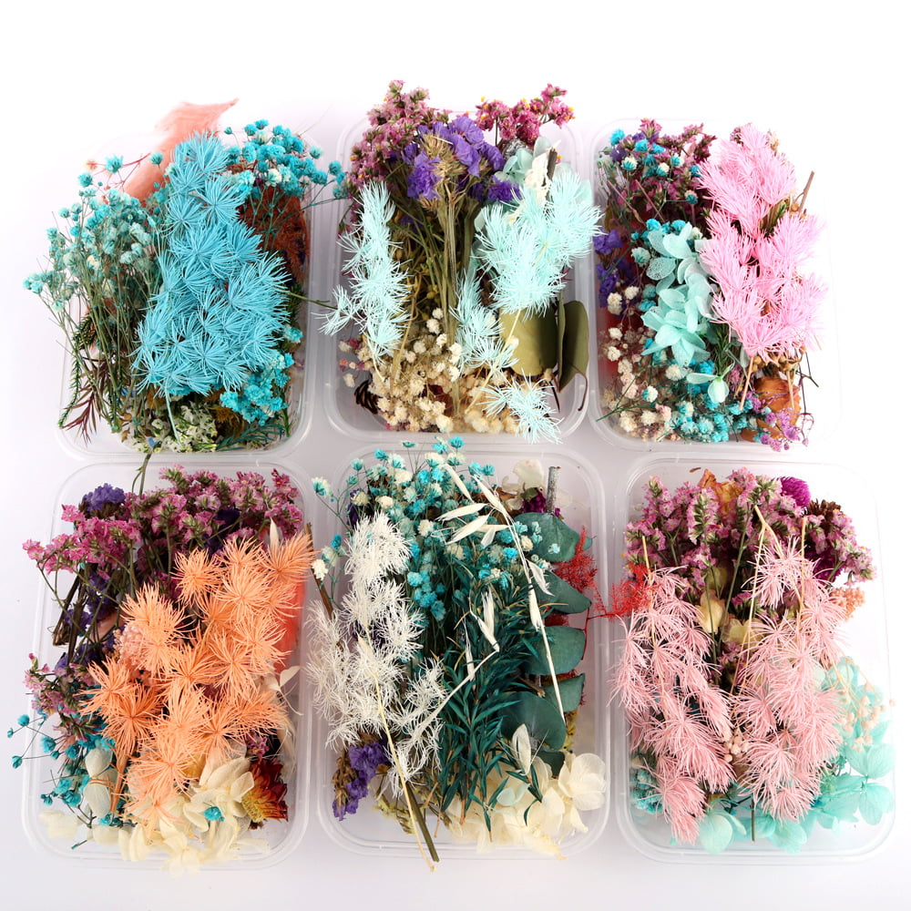 3 Packs Real Natural Dried Flowers for Making Mobile Phone Case Candle Handmade Crafts Epoxy Resin Pendant Necklace Jewelry DIY Accessories,Mixed Multi-Color Dried Flowers Random Shipping 3 Packs