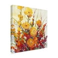 thumbnail image 2 of Trademark Fine Art 'Mixed Bouquet I' Canvas Art by Tim OToole, 2 of 4