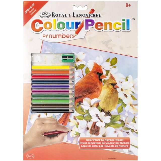 cepillo real Royal Brush CPBNK-15
