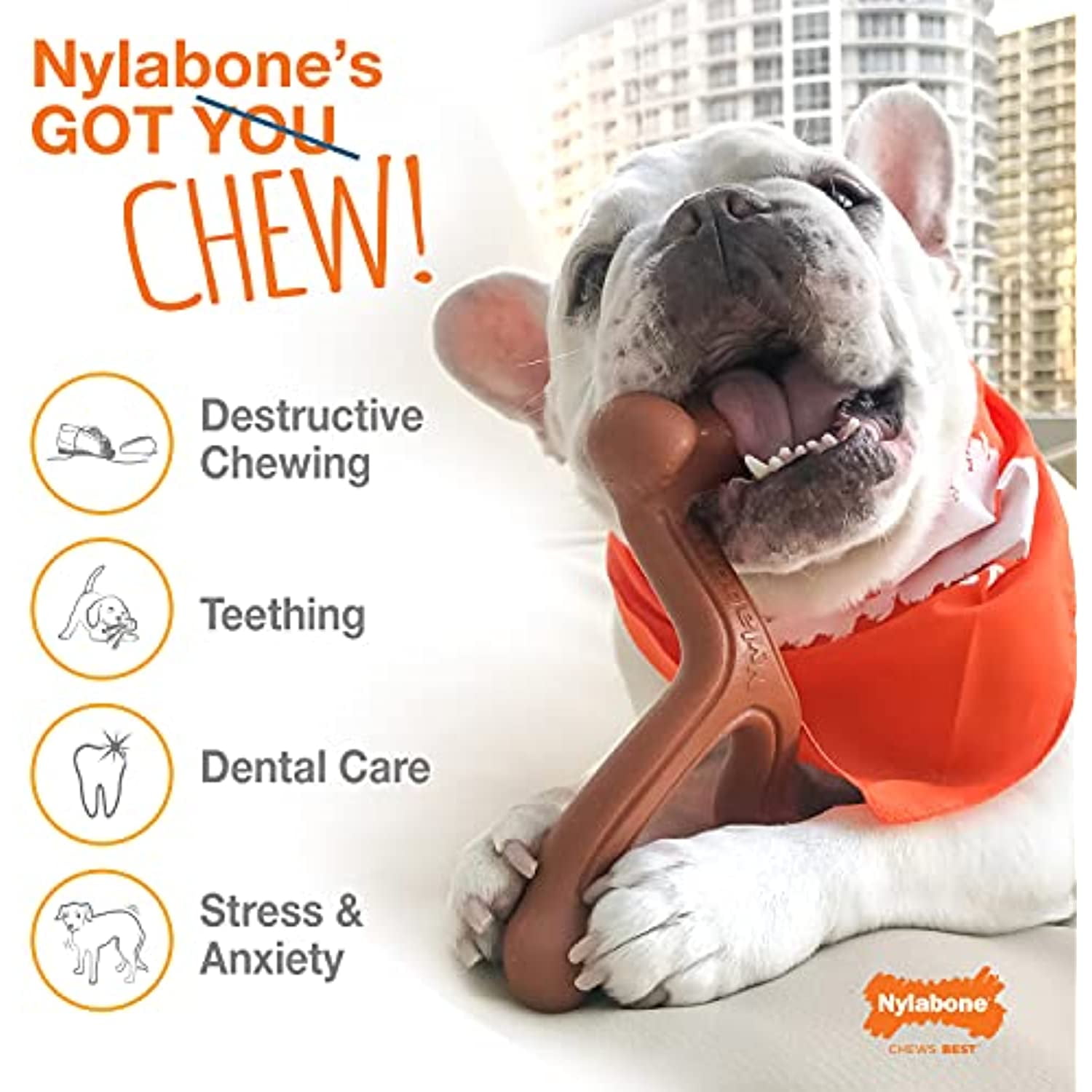 nylabone pretzel
