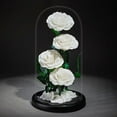 thumbnail image 4 of 4 Preserved Flowers in Glass Dome - Roses Gift for Her - Birthday Flowers for Women, White, 4 of 5