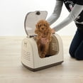 thumbnail image 4 of Richell Faux Wicker Small Carrier with Lockable Clear Top Door, Ivory, 3.1 lb Limit, 4 of 6