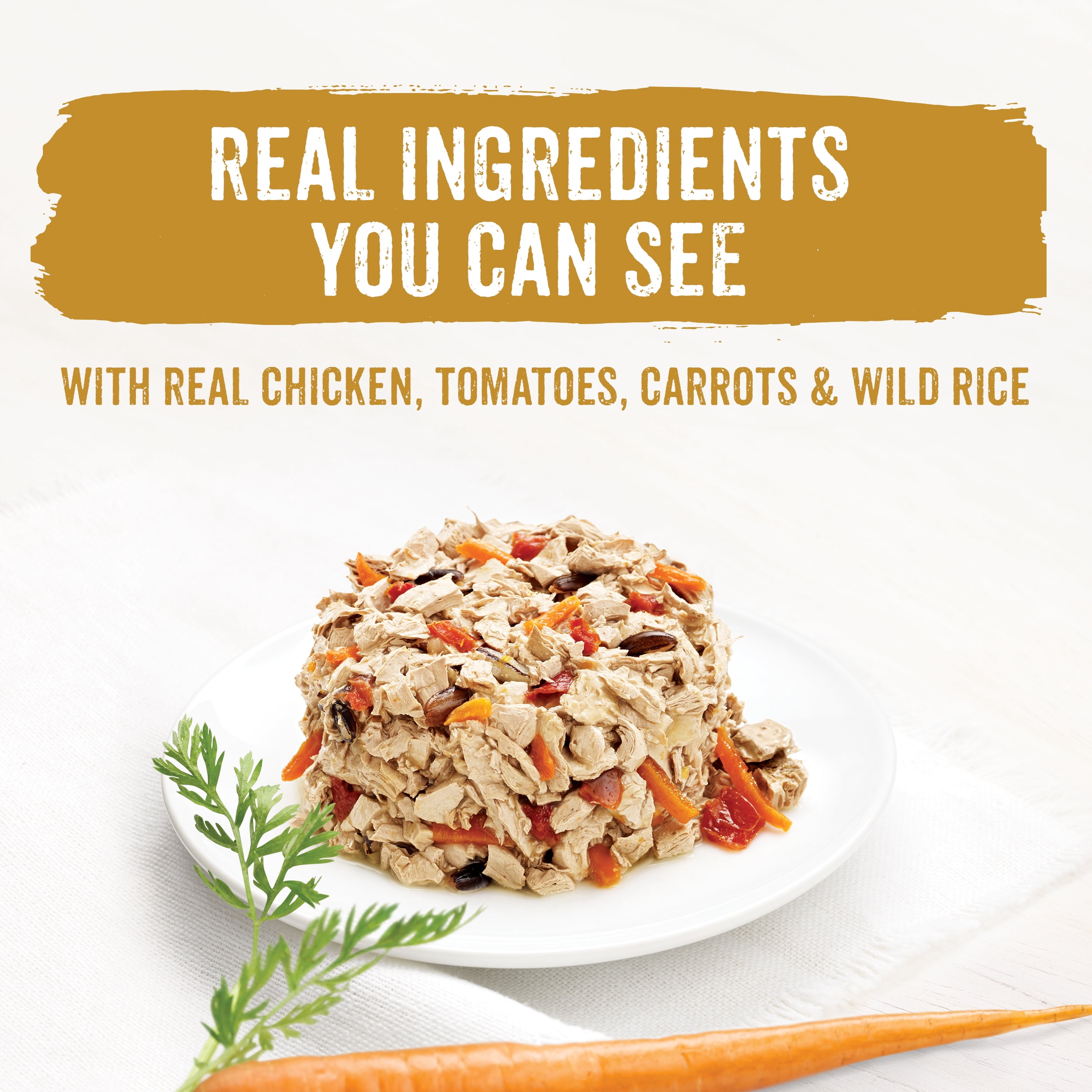 Dinovite Raw Food Recipe Dandk Organizer