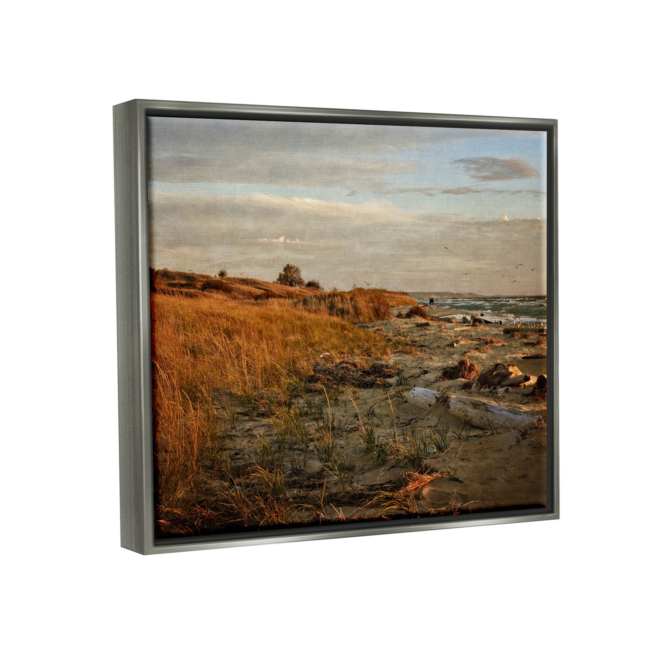 Seaside Reeds Coastal Scene Landscape Photograph Luster Gray Framed Art Print Wall Art
