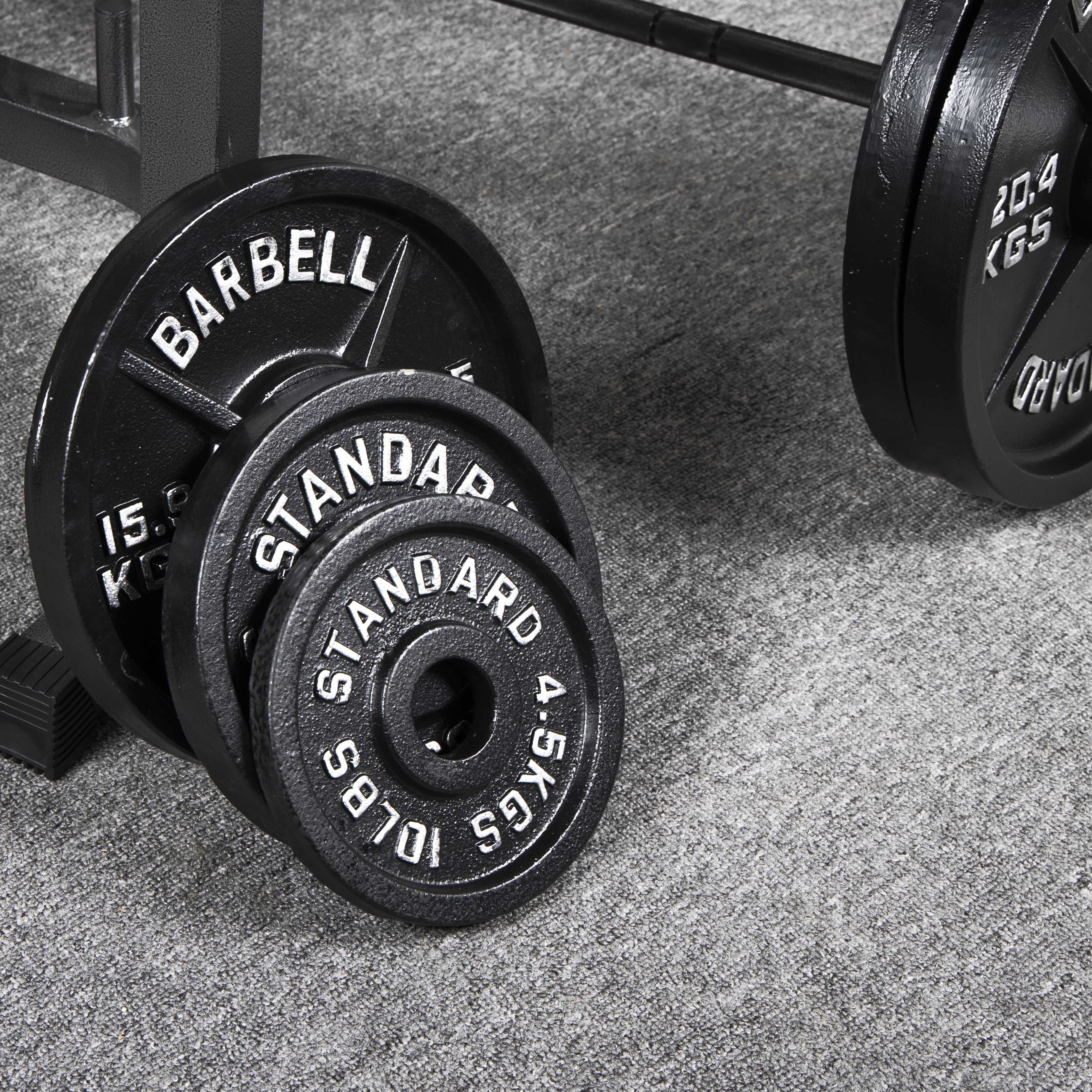 Gianna 2-Inch Olympic Cast Iron Weight Plate for Strength Training & Powerlifting, Durable Gym Weights, 25LBS, 2-Pack