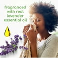 thumbnail image 4 of Beyond Fabric Softener Sheets (80 sheets)- Lavender Scent, 4 of 7