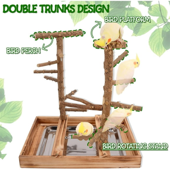 Natural Wood Bird Perch Stand with Removable Tray and 2 Stainless Steel Cups for Small and Medium Birds