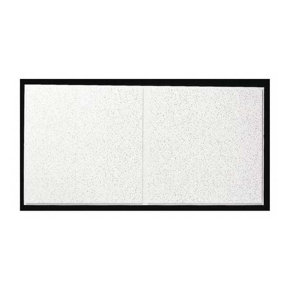 Armstrong Ceiling Tile,48 in L,24 in W,PK10 1766C