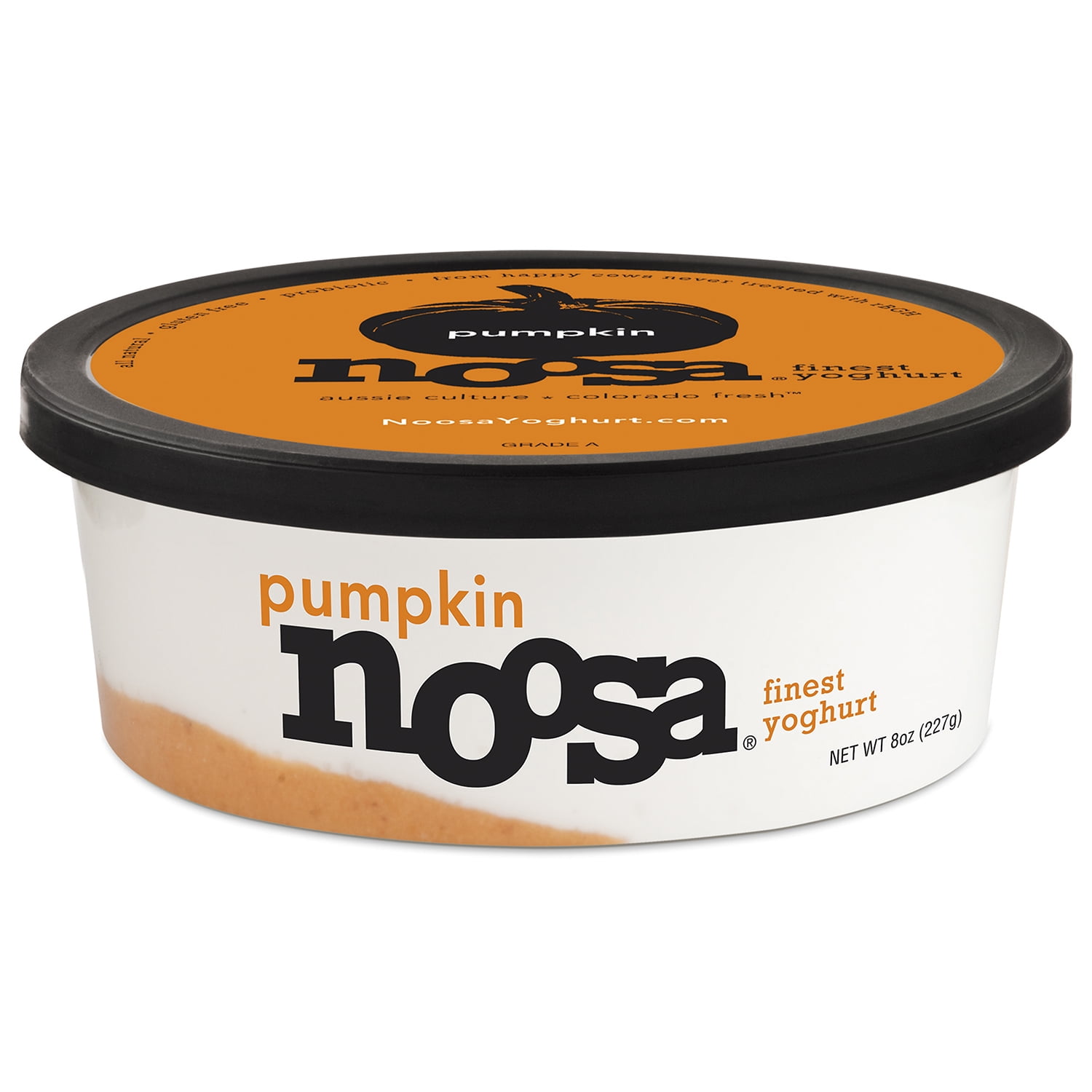 Noosa Yoghurt Pumpkin Finest Yoghurt 8 oz