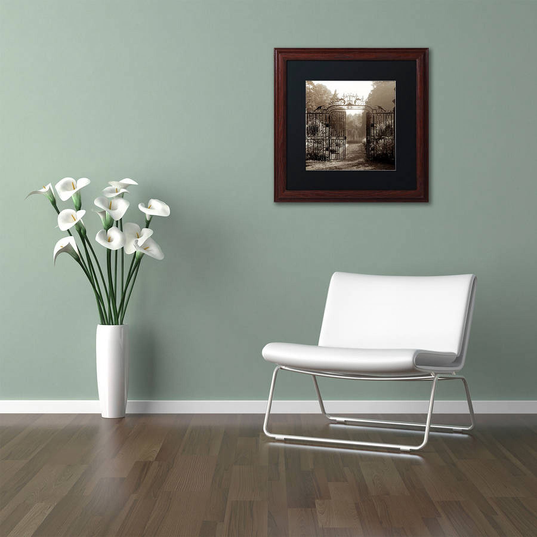 Trademark Fine Art "Hampton Gates III" Canvas Art by Alan Blaustein, Black Matte, Wood Frame