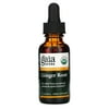 Ginger Root, 1 fl oz (30 ml), Gaia Herbs