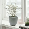 thumbnail image 6 of Light Gray MgO Round 9.2in. H Planter, 6 of 6