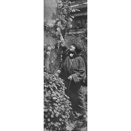 - 'Amelita Galli-Curci - The great diva gathering roses, her favourite flowers', c1925 Print Wall Art