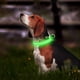 thumbnail image 2 of RV 1 verde, collar de perro con luz M, collar de perro con luz recargable, collar de perro con luz para mantener a su pequeño perro o gato seguro y visible brillar  Electrónica, 2 of 5