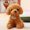 Brown, variant on LSLJS Puppy Plush Toy Doll Teddy Dog Doll Cute Cute Simulation Doll