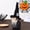 Black, variant on Halloween Gnome Plush – 9.5 Inch Star Pattern Gnome with Witch Hat & Bat or Skull Accent, Tabletop Decor