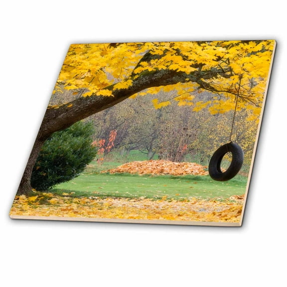 3dRose, Oregon, Hood River, tire swing, tree branch - US38 BJA0680 - Jaynes Gallery, 12 Inch Ceramic Tile