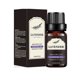 thumbnail image 2 of 10ml Natural Pure Ginger Oil For Drainage Massage Swelling Pain Relief And Relief Ginger Oil, 2 of 3