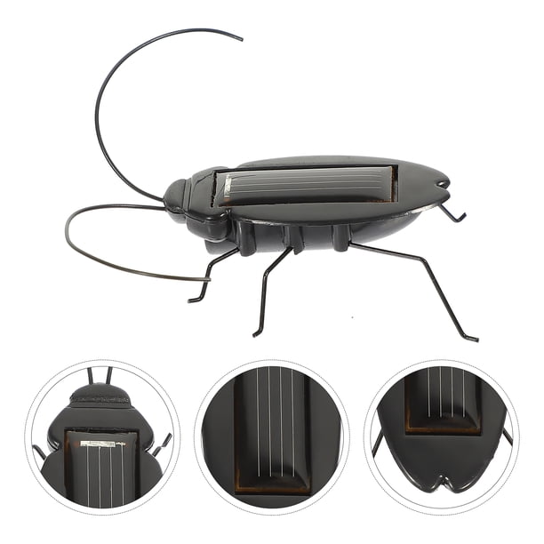 Ashata Jouet d'insecte Jouet à énergie Solaire pour Enfants, Jouet d'apprentissage des Sciences éducatives en jouets casse-tete - Jeux - Jouets Ashata Jouet d'insecte Jouet à énergie Solaire pour Enfants, Jouet d'apprentissage des Sciences éducatives en jouets casse-tete - Jeux - Jouets