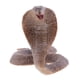 thumbnail image 1 of Conjunto de Animales Juguetes Figuras de Animales Figuras Y Accesorios para Pasatiempos Y Coleccionables - 11 yo Sunnimix Figuras de animales realistas, 1 of 8