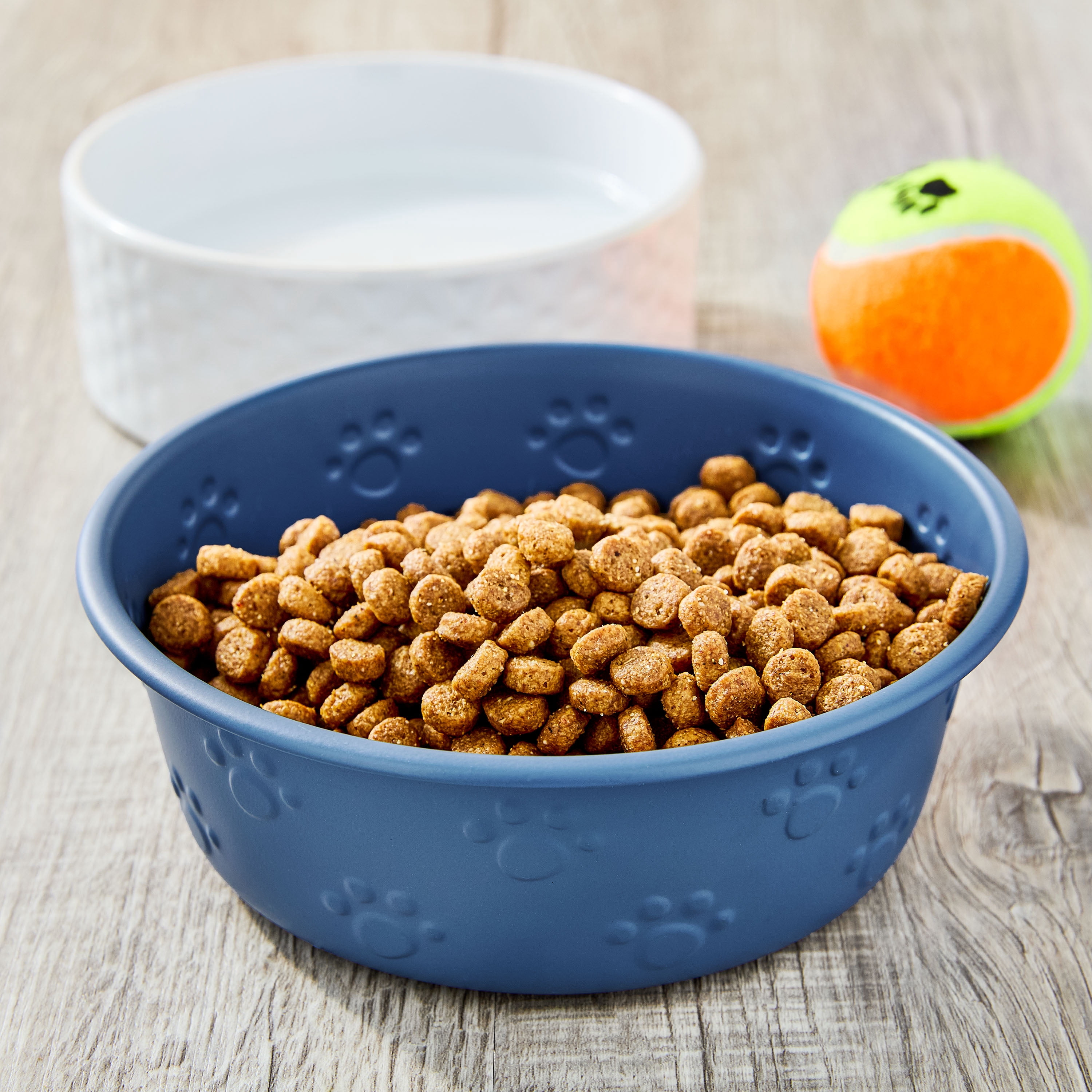 Vibrant Life Medium Stainless Steel Embossed Dog Bowl, Blue Paws