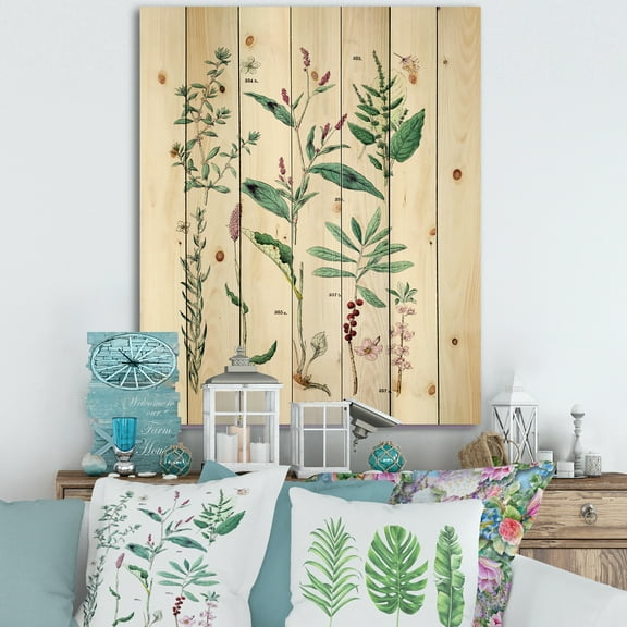 Designart 'Ancient Plants' Traditional Print on Natural Pine Wood
